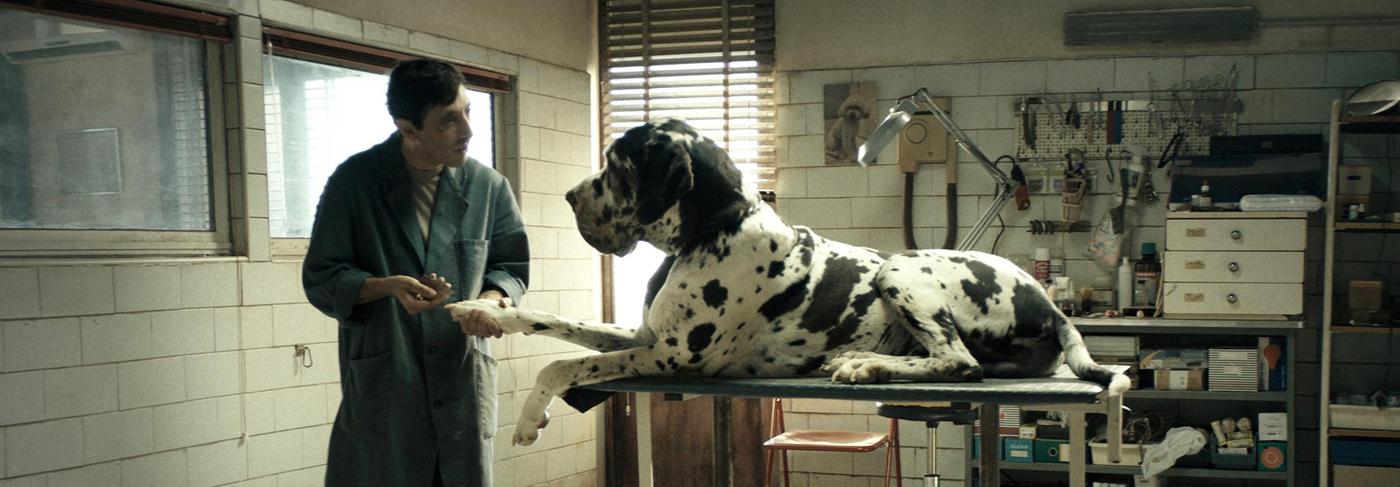 Dogman